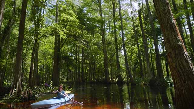 The program will also be available for streaming online.